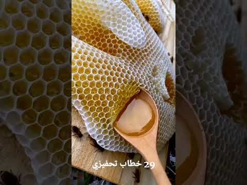 أقوى ردود تكسر الغرور وتخلي الكل يحترمك