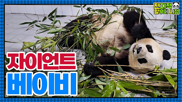 (SUB) Panda Fubao Is Addicted To Zookeeper's Massage🐼│Panda World