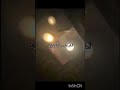 نخدو ميت ولا حي هههههههههههههههه