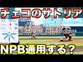 チェコ代表のサトリアはNPBで通用するのか?【eBASEBALLパワフルプロ野球2025】