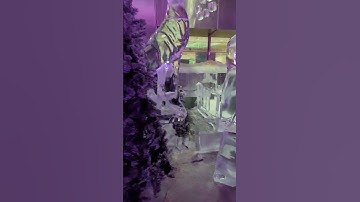 Fun at Ice lounge, Dubai #trending #tiktok #dance #explorepage #viral #dubai #ice