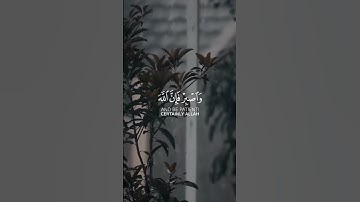 سورة هود - ماهر المعيقلي #اكسبلور #quran #قران_كريم#راحة_نفسية #اكسبلور_فولو#سورة_هود #ماهر_المعيقلي