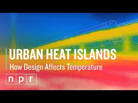 Why It’s Usually Hotter In A City | Let's Talk | NPR