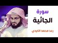 سورة الجاثية رعد الكردي سورة الجاثية رعد الكردي