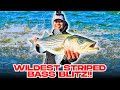 WILDEST Sriped Bass Blitz EVER Caught on Camera!