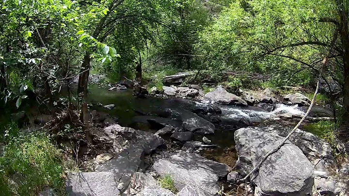 Trout fishing in the black hills