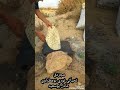 ابوادي مصر 