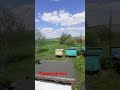 9 травня .Обліт  після двох днів холодів.