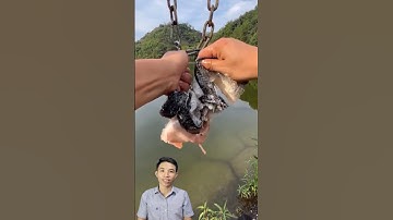 Độc lạ cách làm mồi câu cá khổng lồ #cacconvat #docla #fishing