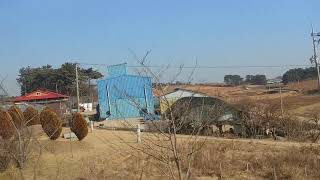 고창의 들판