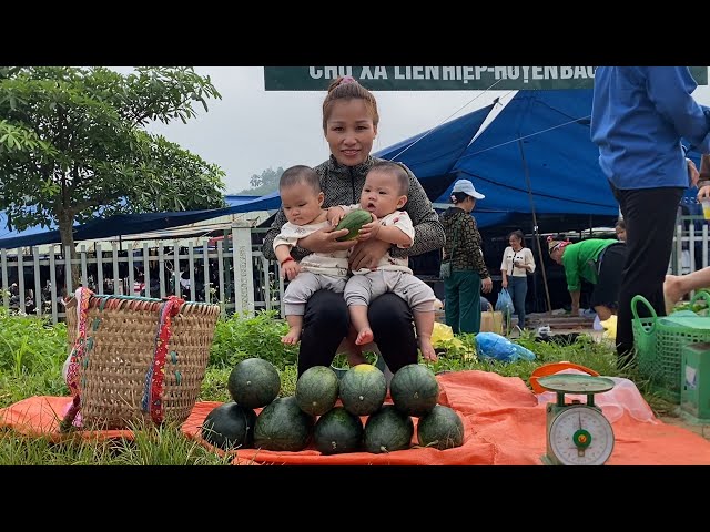 Single mom - Harvesting watermelons to sell, raising two small children, life is difficult class=