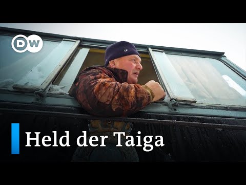 Video: Was Sind Taigabüsche?