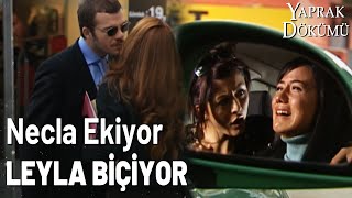 Necla, Sevgilisi Ve Leyla'yı Birlikte Görünce Dayanamadı! - Yaprak Dökümü Özel Klip