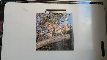 Unit of Inquiry: Habitat introduction