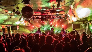 Dogs In A Pile - "The Other One - Rabbit - The Other One" - 03/22/25