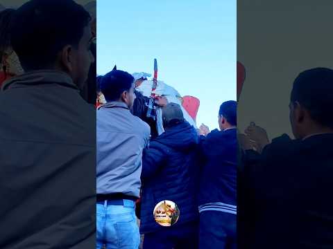 قرصة ماصة سلات بي وعكة صحية لي سعيد الفصول الأربعة