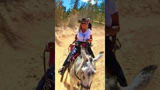 Bryce Canyon national Park in Utah #nationalpark #yellowstone #grandcanyon