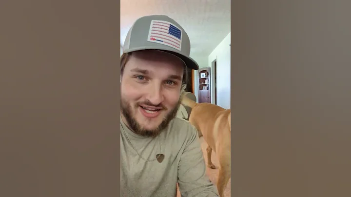 Dog Days are Over - DayDayNews