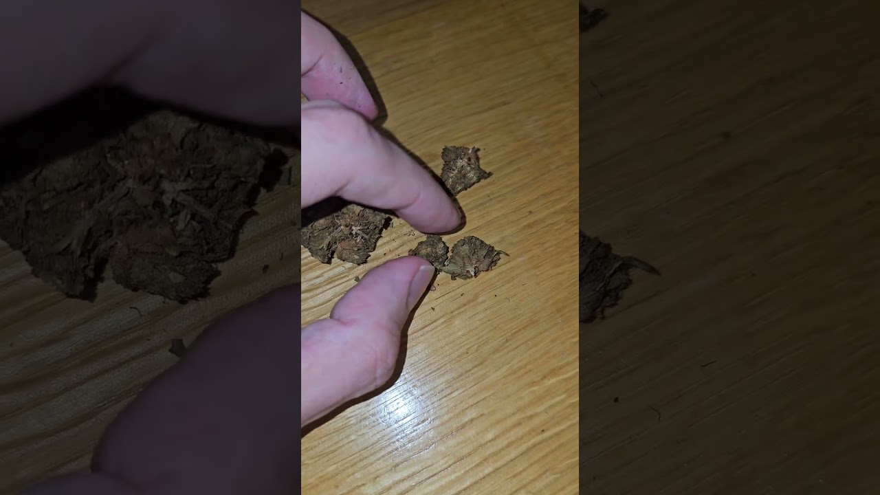 CBD Double Cookies bei Justbob bestellt..