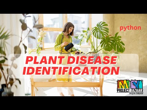 Python-Plant Leaf Identification Using Feature Fusion Wavelet Scattering Network CNN-MyProjectBazaar