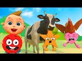 Learning shapes with cow chicken  making shaped cakes with animal friends  game animal
