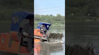 Cleaning a Water Body from Trash and Vegetation Using Amphibious Equipmen