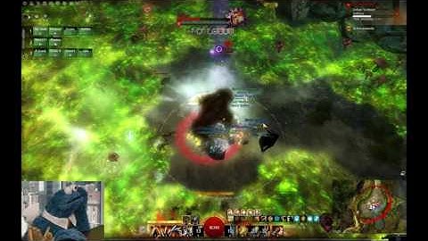 [qT] Daily Slothasor Kill - Warrior POV