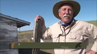 Sunflower state mixed bag. by Scott Linden 780 views 5 months ago 24 minutes