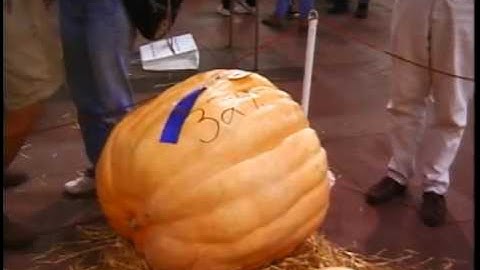 Midwest United States