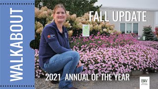 FALL UPDATE: 2021 Annual Plant of the Year:  SUPERTUNIA Mini Vista Pink Star Petunia
