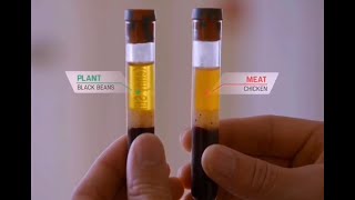 The Game Changers - Blood test on 3 athletes by Dr. Robert Vogel