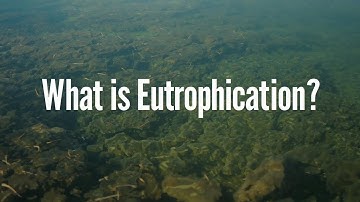 What is Eutrophication. 