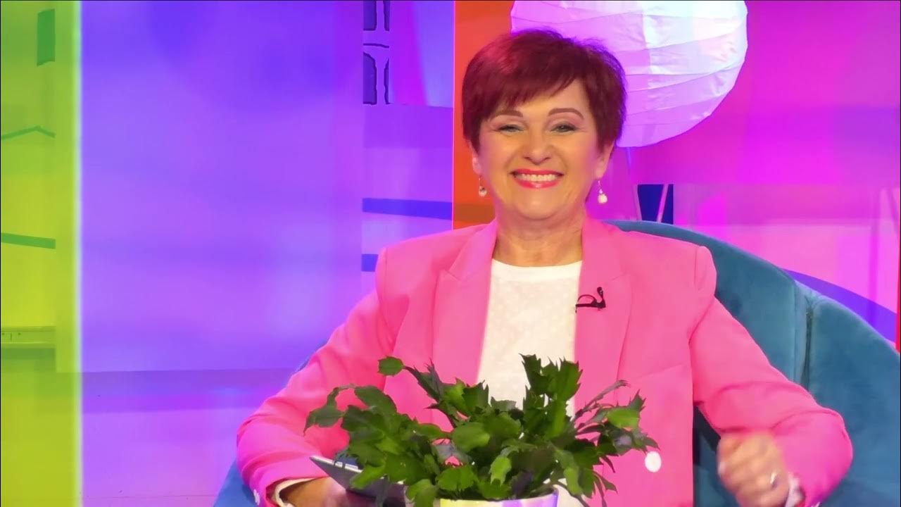 Volin Te Istro 18.02.2023. 1/2 YouTube