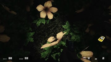 Half Life 2 : EP2 ~ 1187 EP1 mod - All the medals that I found & Gman sighting