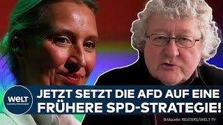 KONTAKTE ZU TRUMP: Jetzt setzt die AfD auf eine frühere SPD-Strategie! – Patzelt mit der Analyse
