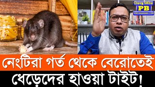 সাপ্লাই লাইনগুলো ইডি কাটতে শুরু করতেই তোলা চোরেদের ধড়ফড়ানি শুরু ধেড়ে ইঁদুরদের দিন অবশেষে সমাগত