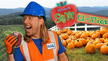 🍎Apple Picking and Pumpkin Slinging with Handyman Hal🎃