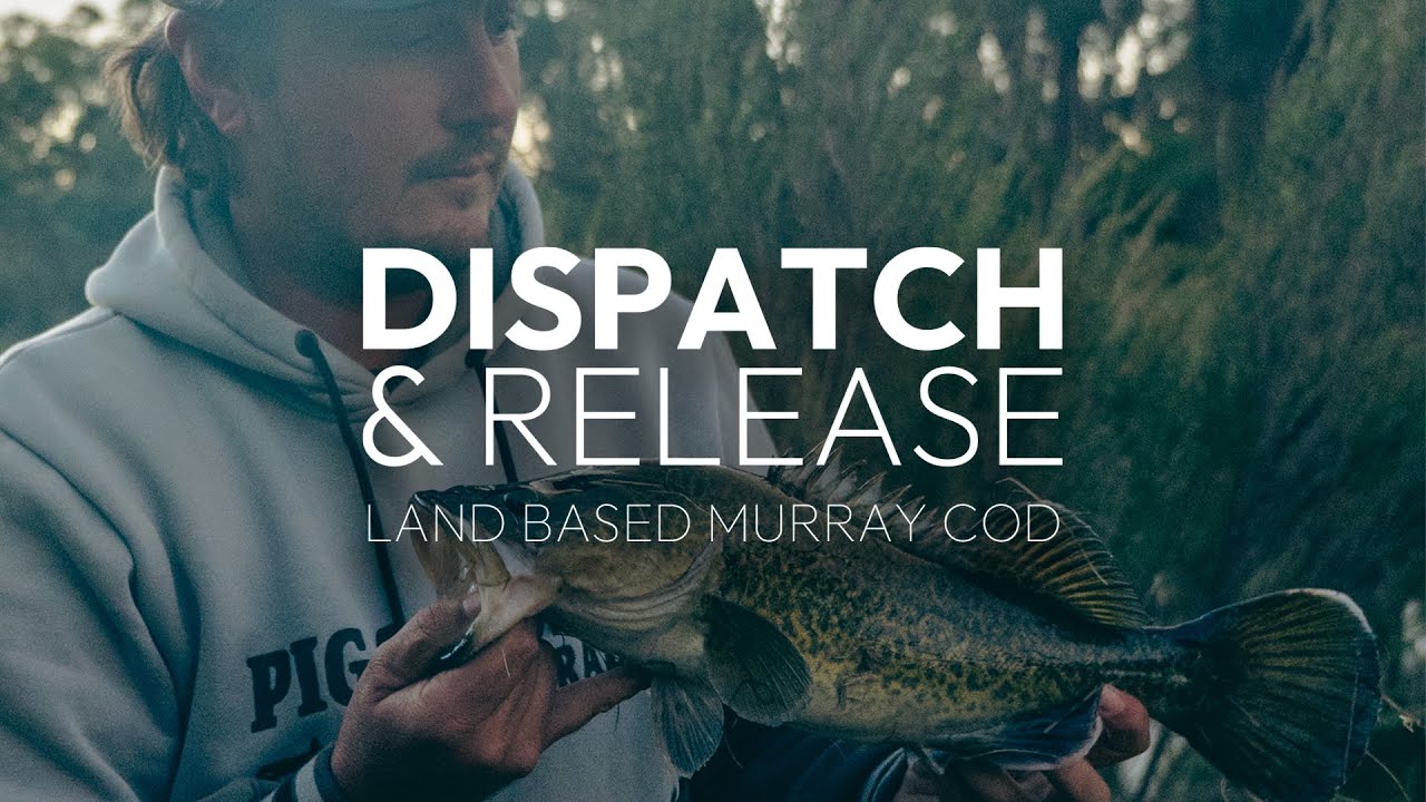 Land based Murray Cod | Winter Day Mission - YouTube