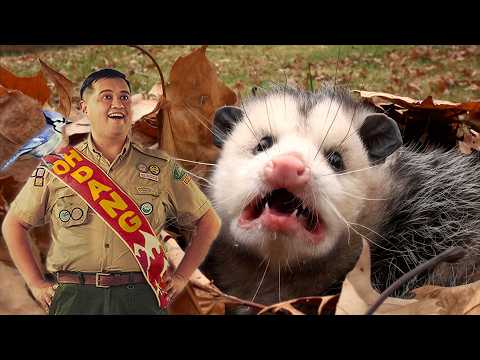 Can Animals be Deceptive? | Frick, I Love Nature