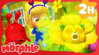 The Flower Power Prize | Mila & Morphle Stories and Adventures for Kids | Moonbug Kids by Moonbug Kids - Stories and Adventures 2,210 views 6 days ago 2 hours