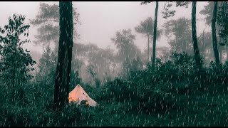 SOLO CAMPING IN HEAVY RAIN AND THUNDERSTORM  RELAXING RAIN SOUNDS  AMSR