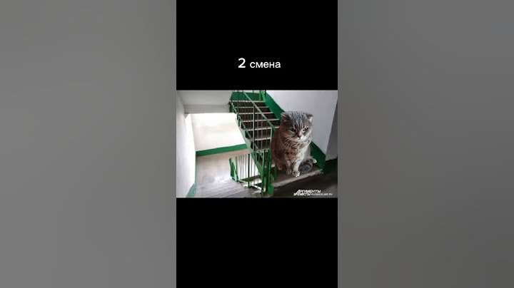 1 смена vs 2 смена ч.2 #cat #memes #вшколу