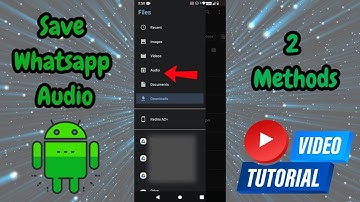 How To Save Whatsapp Audio On Android Phone (2 Methods)