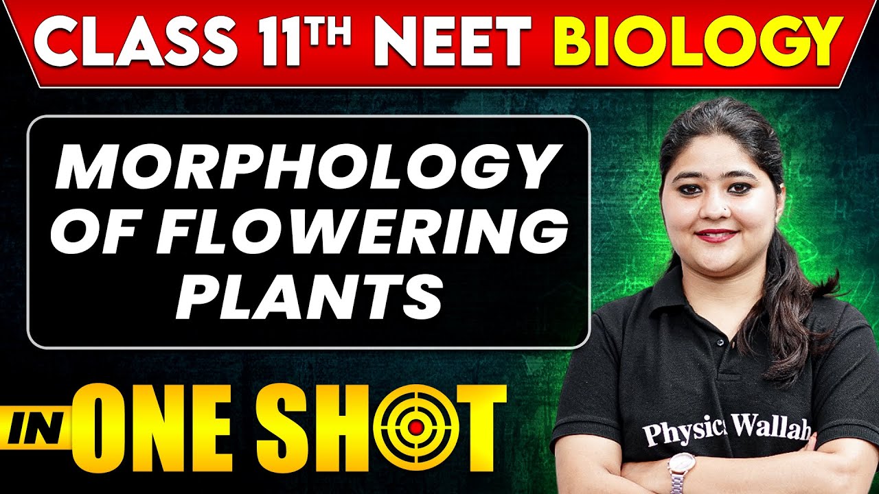 MORPHOLOGY OF FLOWERING PLANTS in One Shot |Class 11th + NEET Biology ...