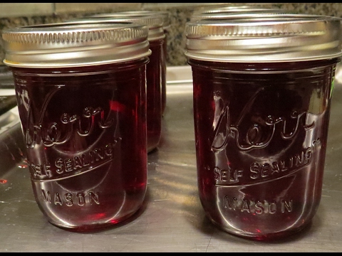 Video: Mababang Calorie Hibiscus Jelly