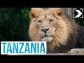 Españoles en el mundo: Tanzania (1/3) | RTVE