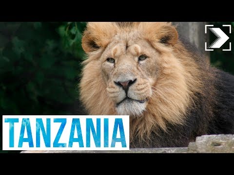 viaje a tanzania