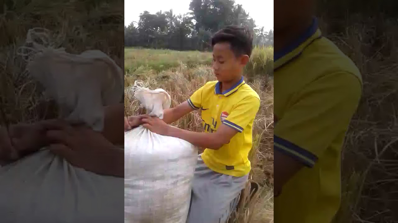 Santai sejenak - YouTube