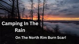 Camping in the Rain on the North Rim Burn Scar!