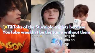 TikToks of the Sturniolo triplets because YouTube wouldn't be the same without them